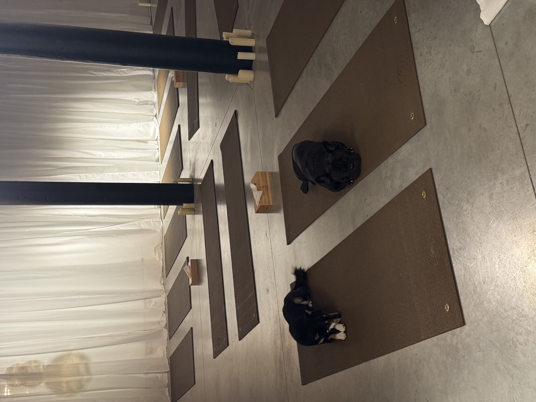 Solo embodied practice in a light, open space.